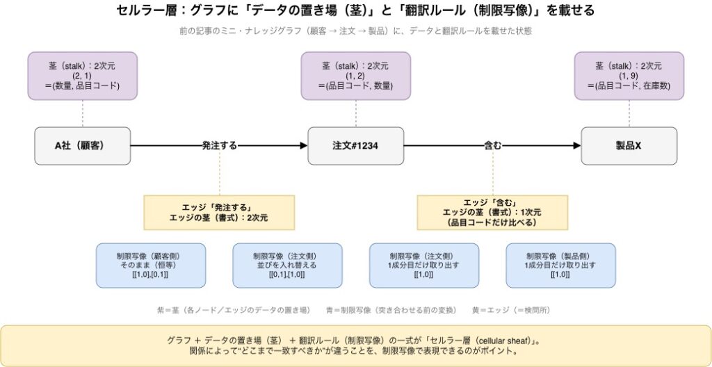 セルラー層：グラフに「データの置き場（茎）」と「翻訳ルール（制限写像）」を載せる